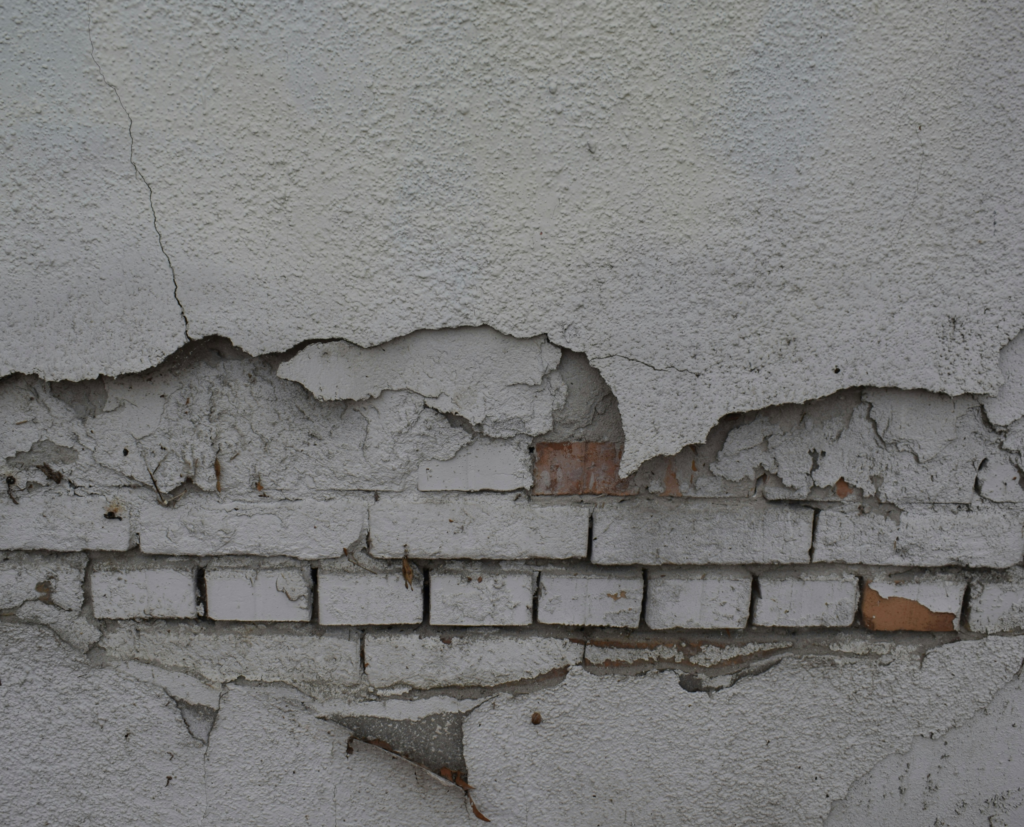 untitled design (6)